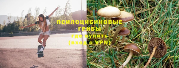 гидропоника Абдулино