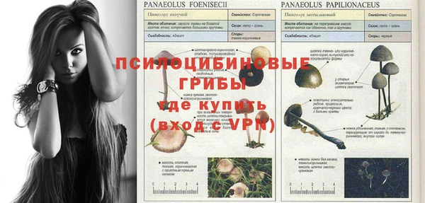 гидропоника Абдулино
