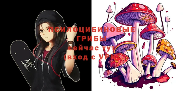 спайс Семёнов