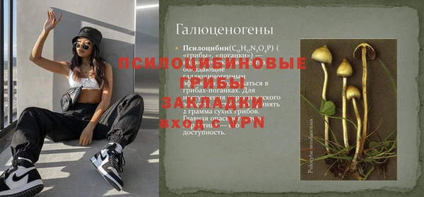 гидропоника Абдулино