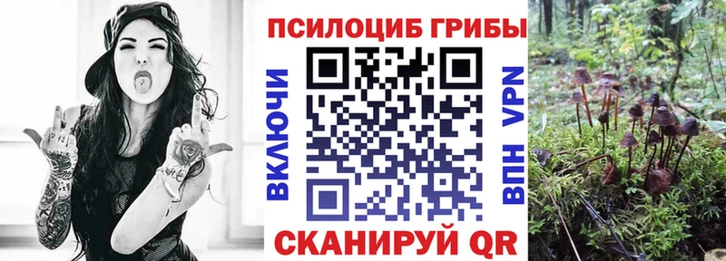 Галлюциногенные грибы Magic Shrooms  закладки  Зубцов 